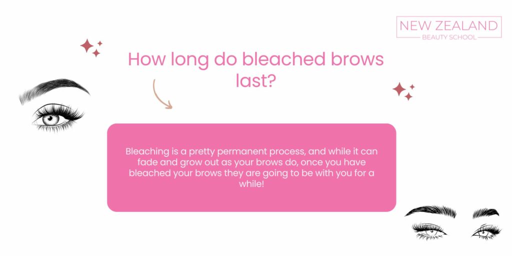 How long does it take to bleach brows infographic